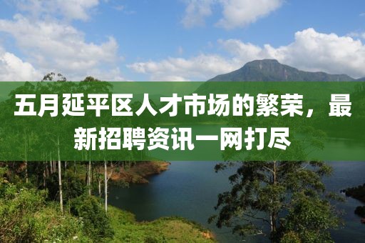 五月延平区人才市场的繁荣，最新招聘资讯一网打尽