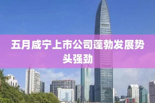 五月咸宁上市公司蓬勃发展势头强劲