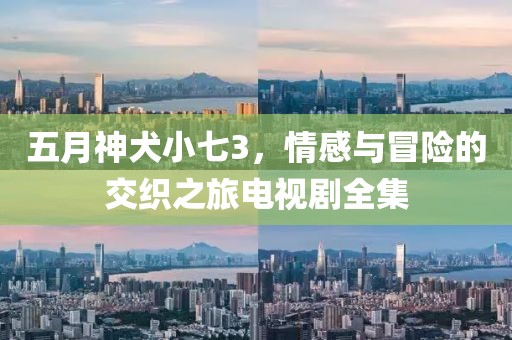 五月神犬小七3，情感与冒险的交织之旅电视剧全集