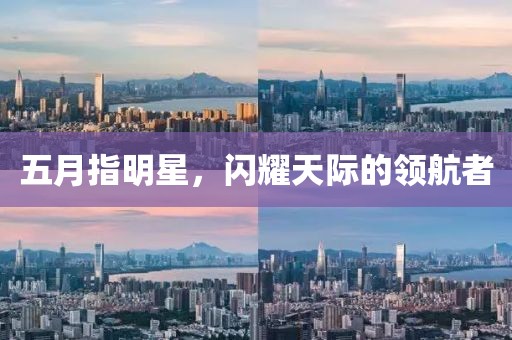五月指明星，闪耀天际的领航者