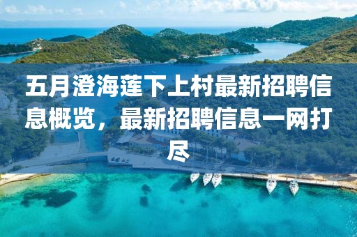 五月澄海莲下上村最新招聘信息概览，最新招聘信息一网打尽