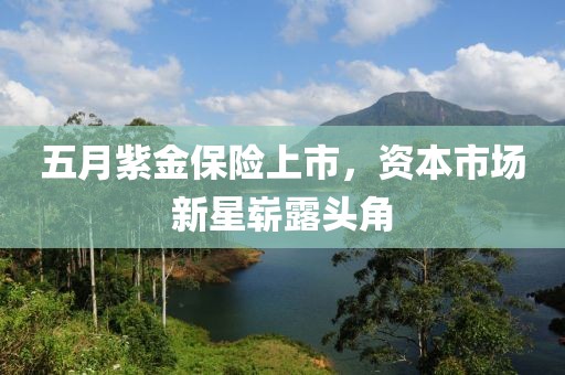 五月紫金保险上市，资本市场新星崭露头角