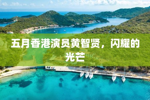 五月香港演员黄智贤，闪耀的光芒