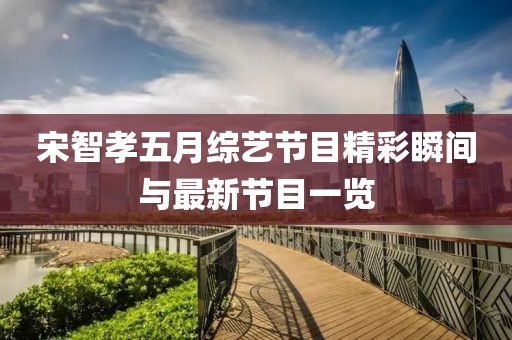 宋智孝五月综艺节目精彩瞬间与最新节目一览