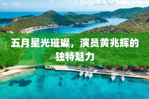 五月星光璀璨，演员黄兆辉的独特魅力