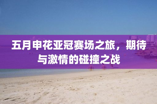 五月申花亚冠赛场之旅，期待与激情的碰撞之战