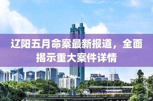辽阳五月命案最新报道，全面揭示重大案件详情