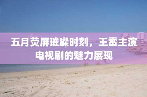 五月荧屏璀璨时刻，王雷主演电视剧的魅力展现