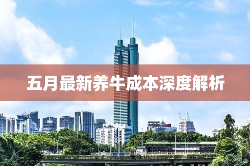 五月最新养牛成本深度解析