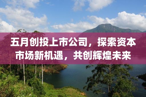 五月创投上市公司，探索资本市场新机遇，共创辉煌未来