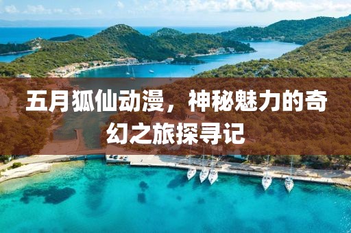 五月狐仙动漫，神秘魅力的奇幻之旅探寻记