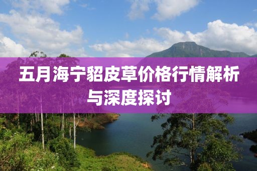 五月海宁貂皮草价格行情解析与深度探讨