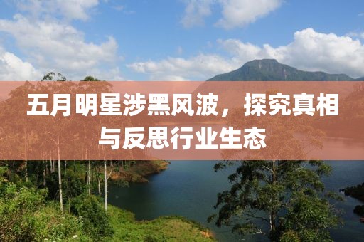 五月明星涉黑风波，探究真相与反思行业生态