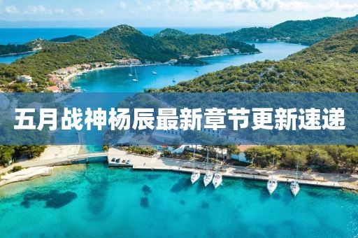 五月战神杨辰最新章节更新速递