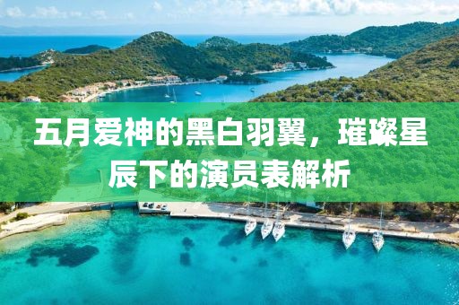 五月爱神的黑白羽翼，璀璨星辰下的演员表解析