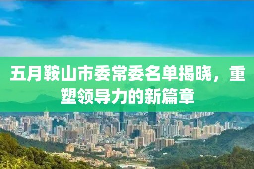 五月鞍山市委常委名单揭晓，重塑领导力的新篇章