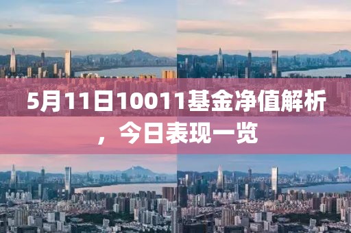 5月11日10011基金净值解析，今日表现一览