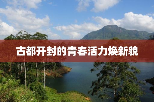 古都开封的青春活力焕新貌