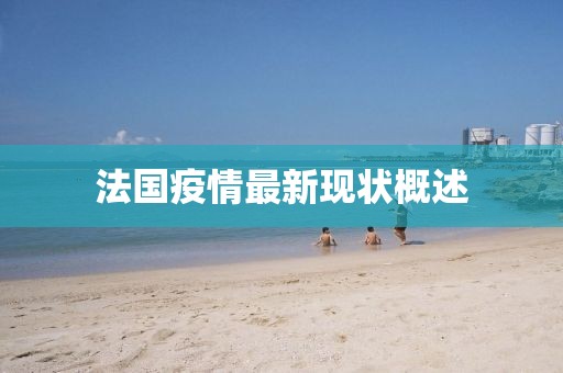 法国疫情最新现状概述
