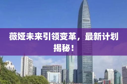 薇娅未来引领变革，最新计划揭秘！