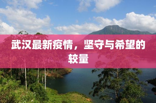 武汉最新疫情，坚守与希望的较量