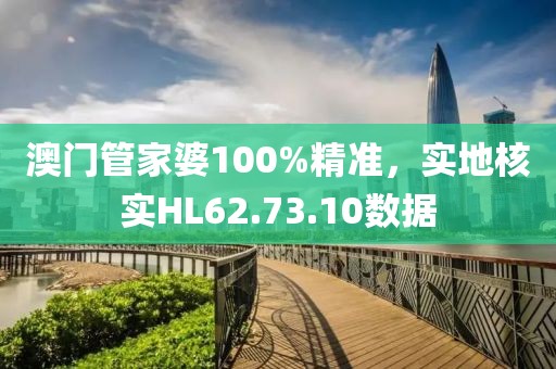 澳门管家婆100%精准，实地核实HL62.73.10数据