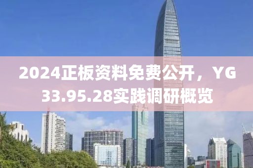 2024正板资料免费公开，YG33.95.28实践调研概览