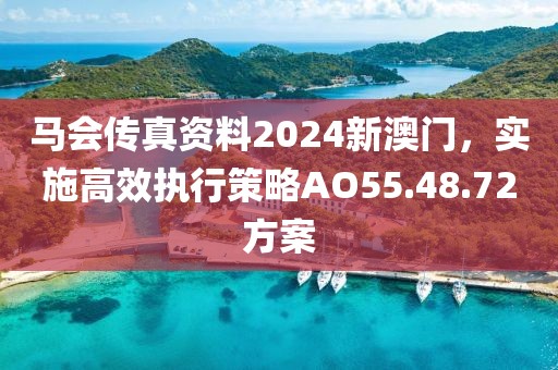 马会传真资料2024新澳门，实施高效执行策略AO55.48.72方案