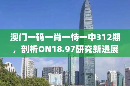 澳门一码一肖一恃一中312期，剖析ON18.97研究新进展