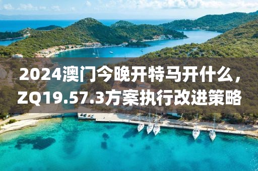 2024澳门今晚开特马开什么，ZQ19.57.3方案执行改进策略