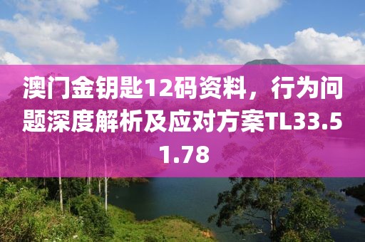 澳门金钥匙12码资料，行为问题深度解析及应对方案TL33.51.78