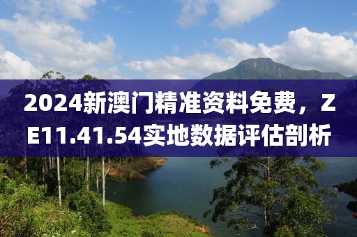 2024新澳门精准资料免费，ZE11.41.54实地数据评估剖析