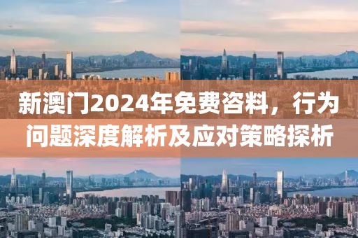 新澳门2024年免费咨料，行为问题深度解析及应对策略探析