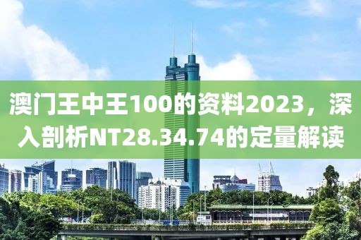 澳门王中王100的资料2023，深入剖析NT28.34.74的定量解读