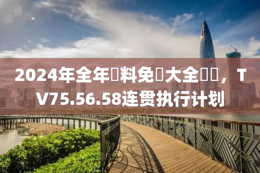 2024年全年資料免費大全優勢，TV75.56.58连贯执行计划