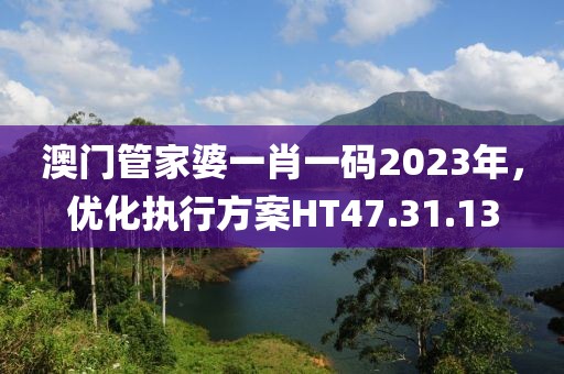 澳门管家婆一肖一码2023年，优化执行方案HT47.31.13