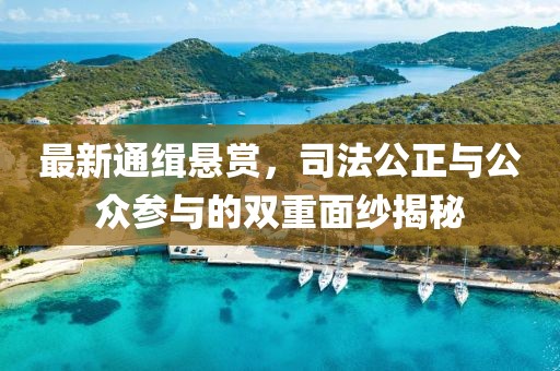 最新通缉悬赏，司法公正与公众参与的双重面纱揭秘