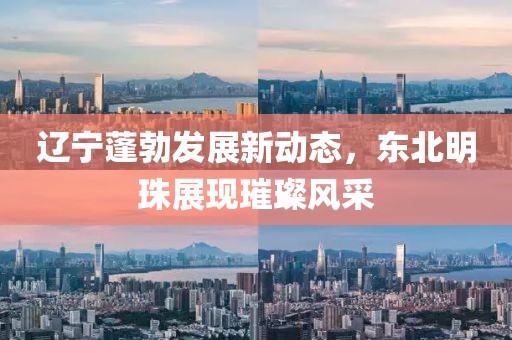 辽宁蓬勃发展新动态，东北明珠展现璀璨风采