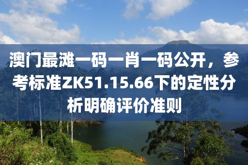 澳门最滩一码一肖一码公开，参考标准ZK51.15.66下的定性分析明确评价准则