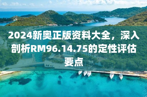 2024新奥正版资料大全，深入剖析RM96.14.75的定性评估要点