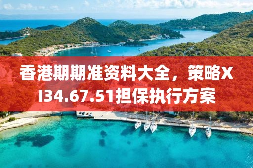 香港期期准资料大全，策略XI34.67.51担保执行方案