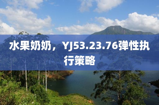 水果奶奶，YJ53.23.76弹性执行策略