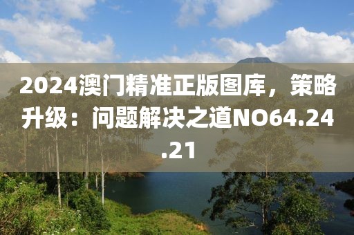 2024澳门精准正版图库，策略升级：问题解决之道NO64.24.21