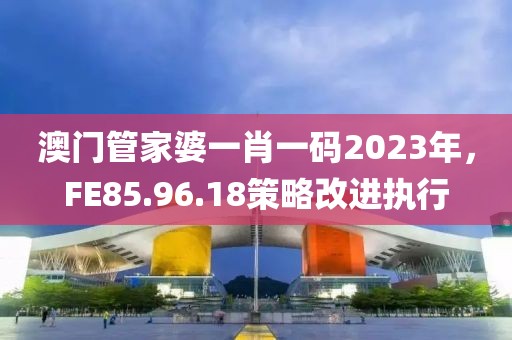 澳门管家婆一肖一码2023年，FE85.96.18策略改进执行