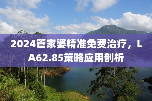 2024管家婆精准免费治疗，LA62.85策略应用剖析