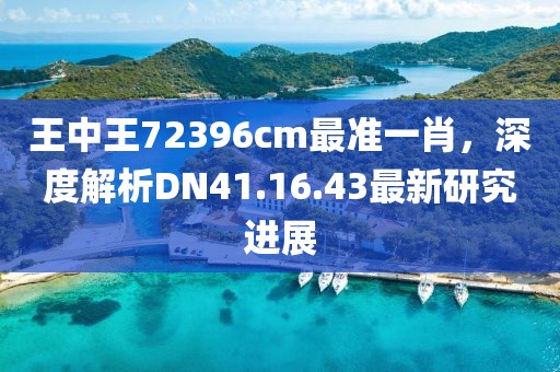 王中王72396cm最准一肖，深度解析DN41.16.43最新研究进展