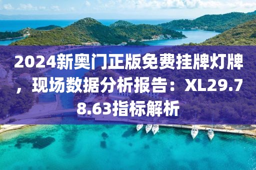 2024新奥门正版免费挂牌灯牌，现场数据分析报告：XL29.78.63指标解析