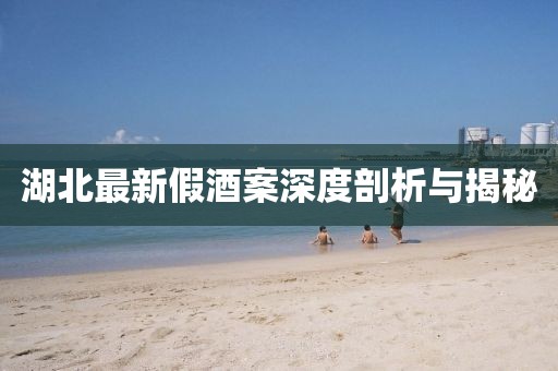 湖北最新假酒案深度剖析与揭秘