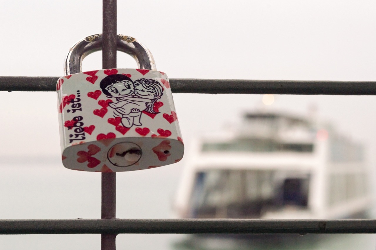 赵鑫最新动态，探索无限可能的旅程
