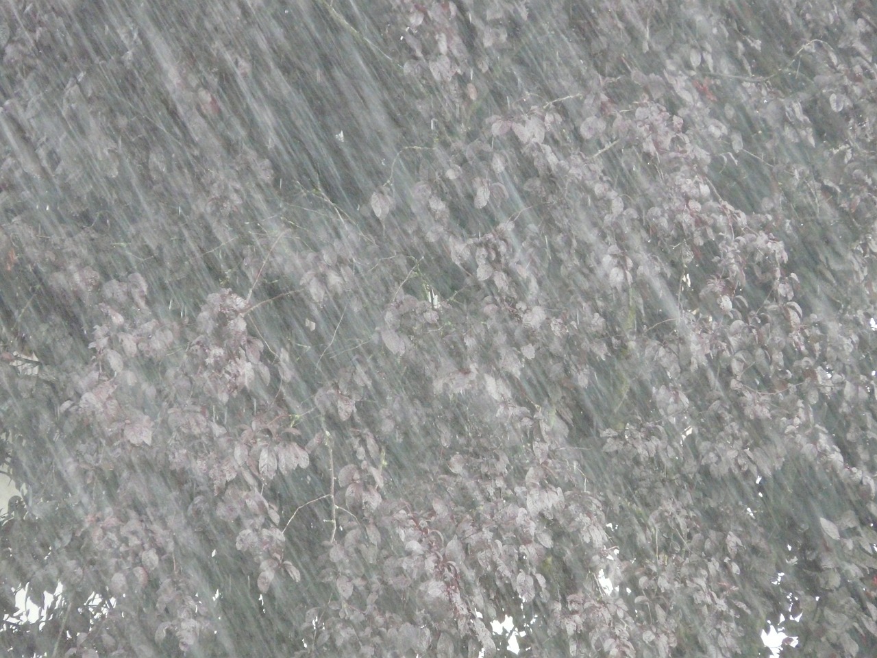 日照大暴雨最新情况报告与更新